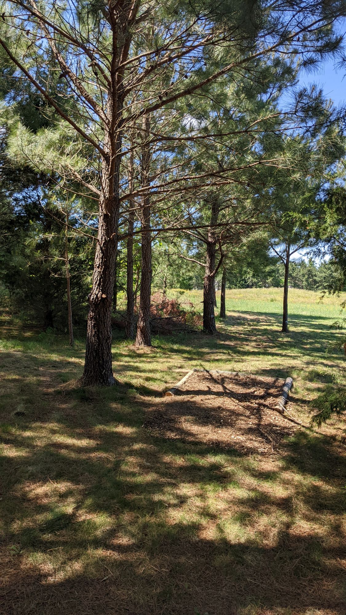 #6 teebox