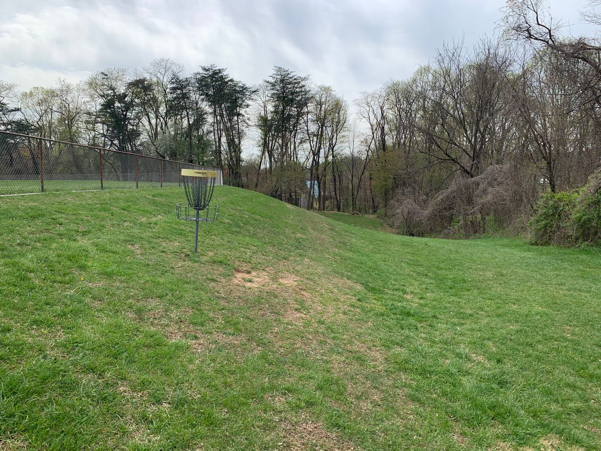 Hole 2/17 basket
