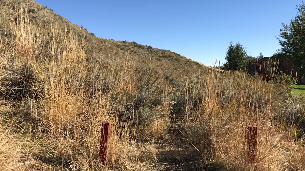 Hole 9