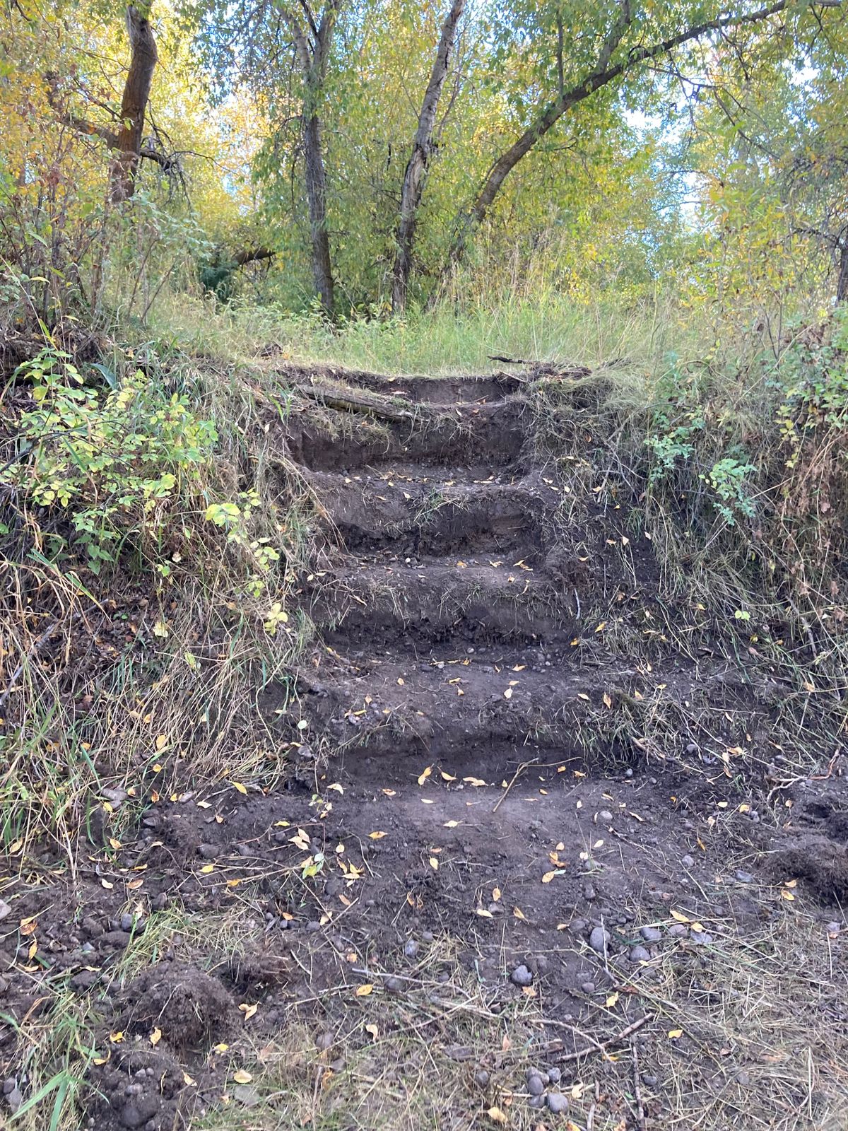 Hole 9 Steps Eagle Park.
