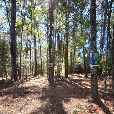 Hole 9