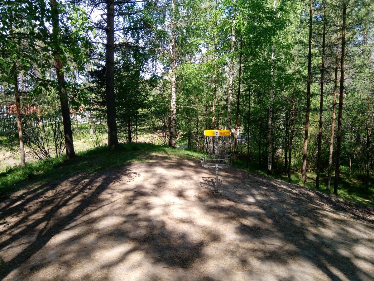 Hole #7, basket (8.6.2022).