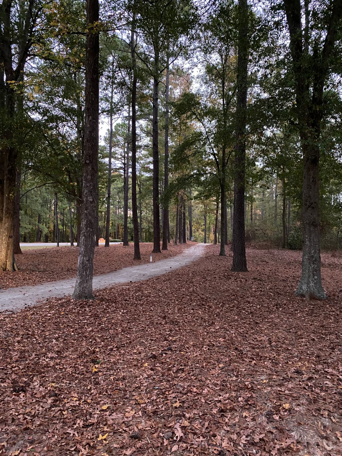 Hole 2 fairway