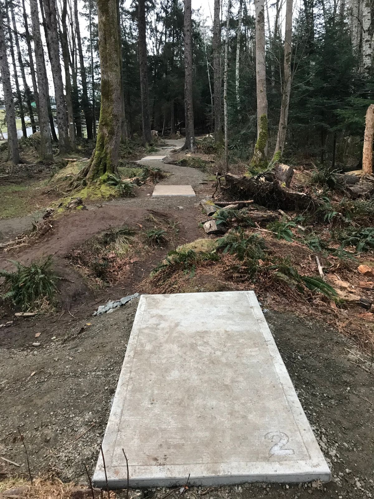 Hole 2 tee pads