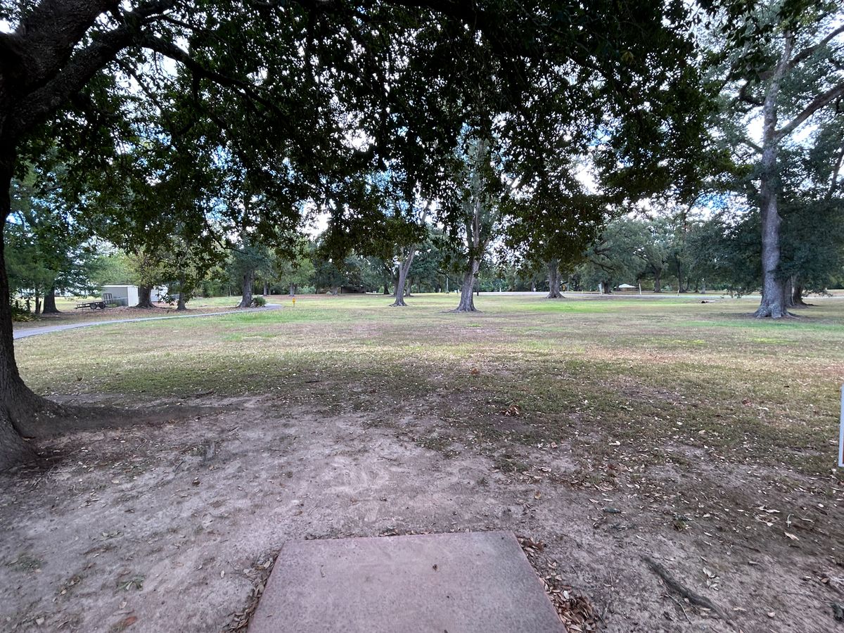 Hole 14 Fairway