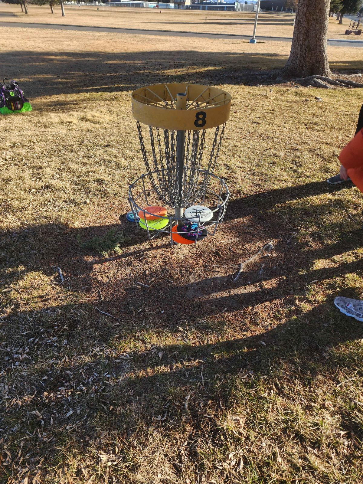 hole 8 basket... is short!