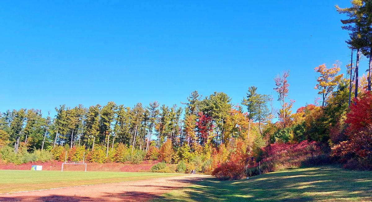 Tee pad 3. 🍀 🍃 🍁 🍁 🍁