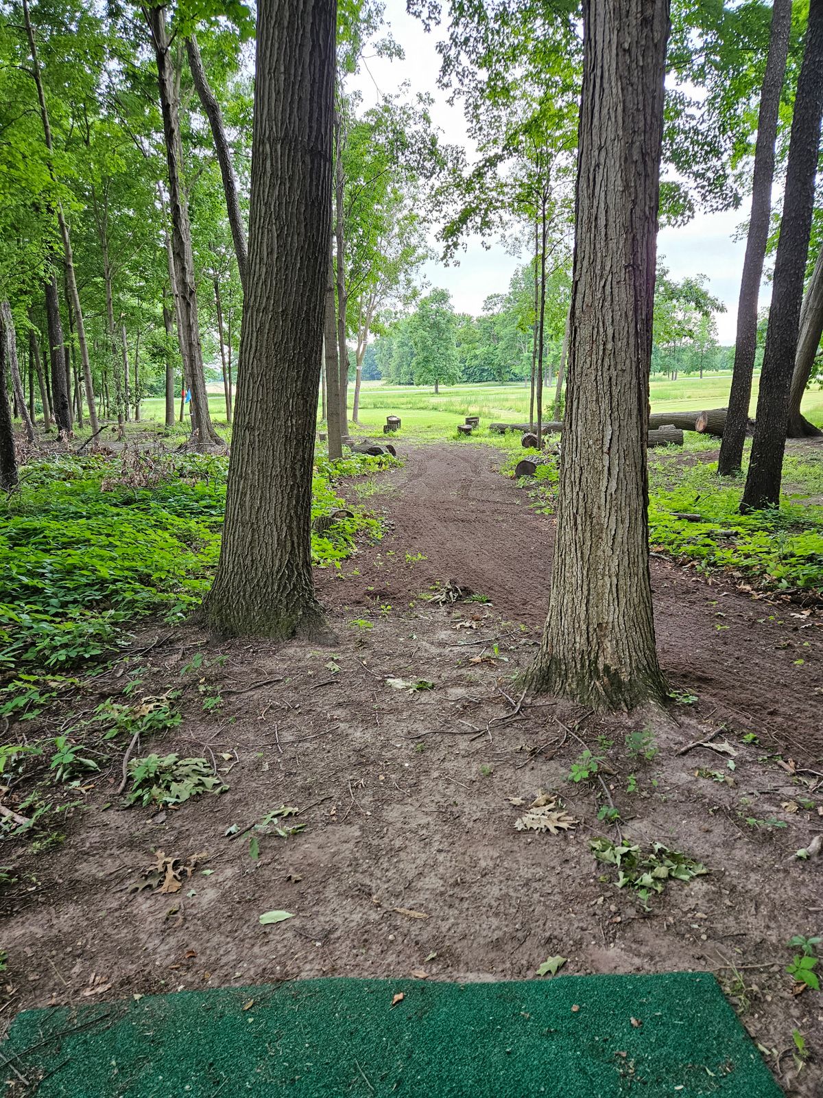 Hole 15 tee pad