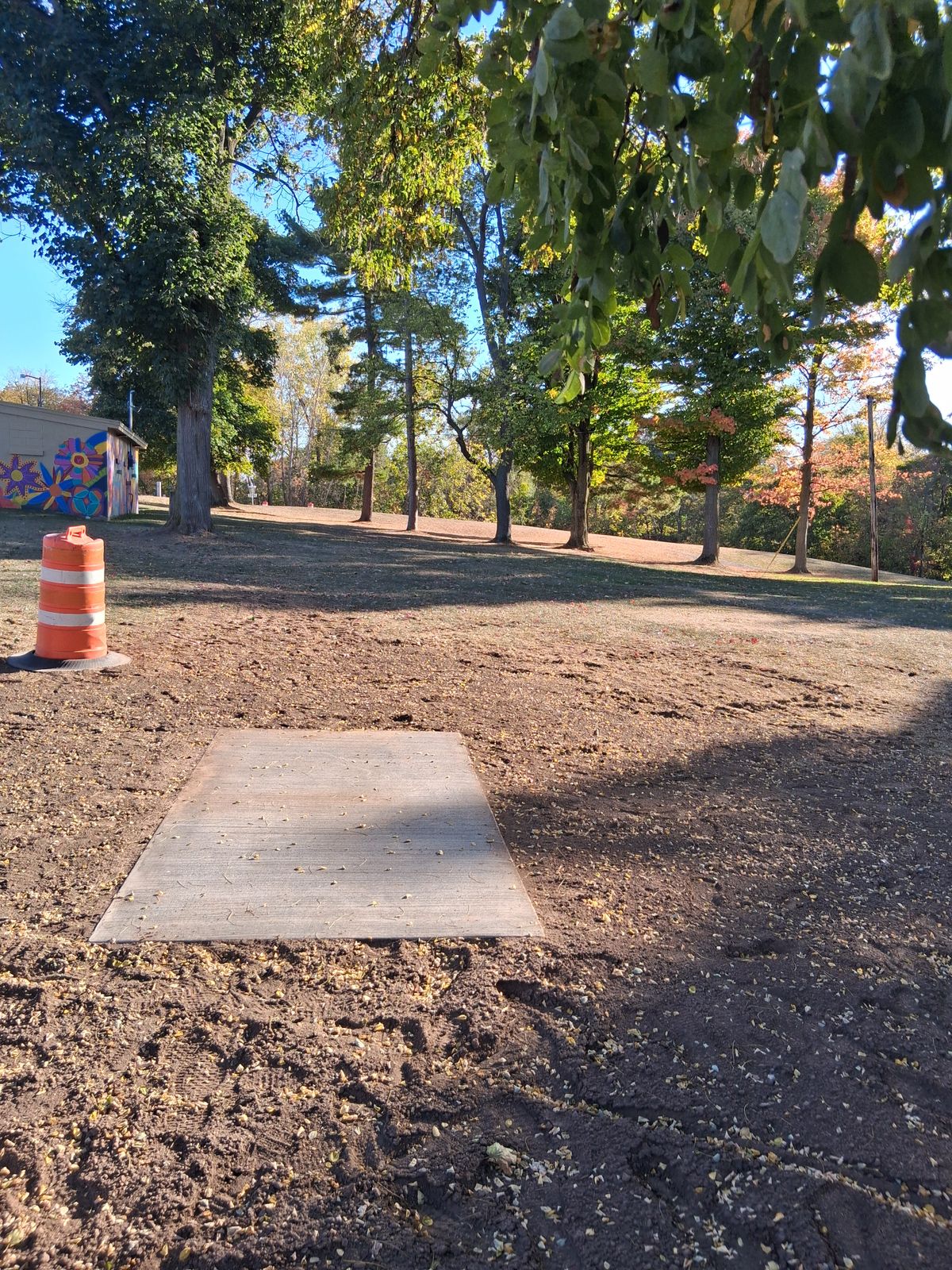 New Teepads, grass seed around