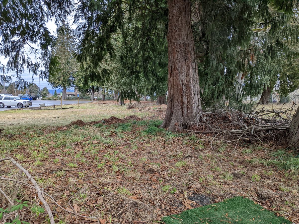 From tee #9.  Th basket is behind the large tree in the background.  Should be visible from just right of the tee pad. 