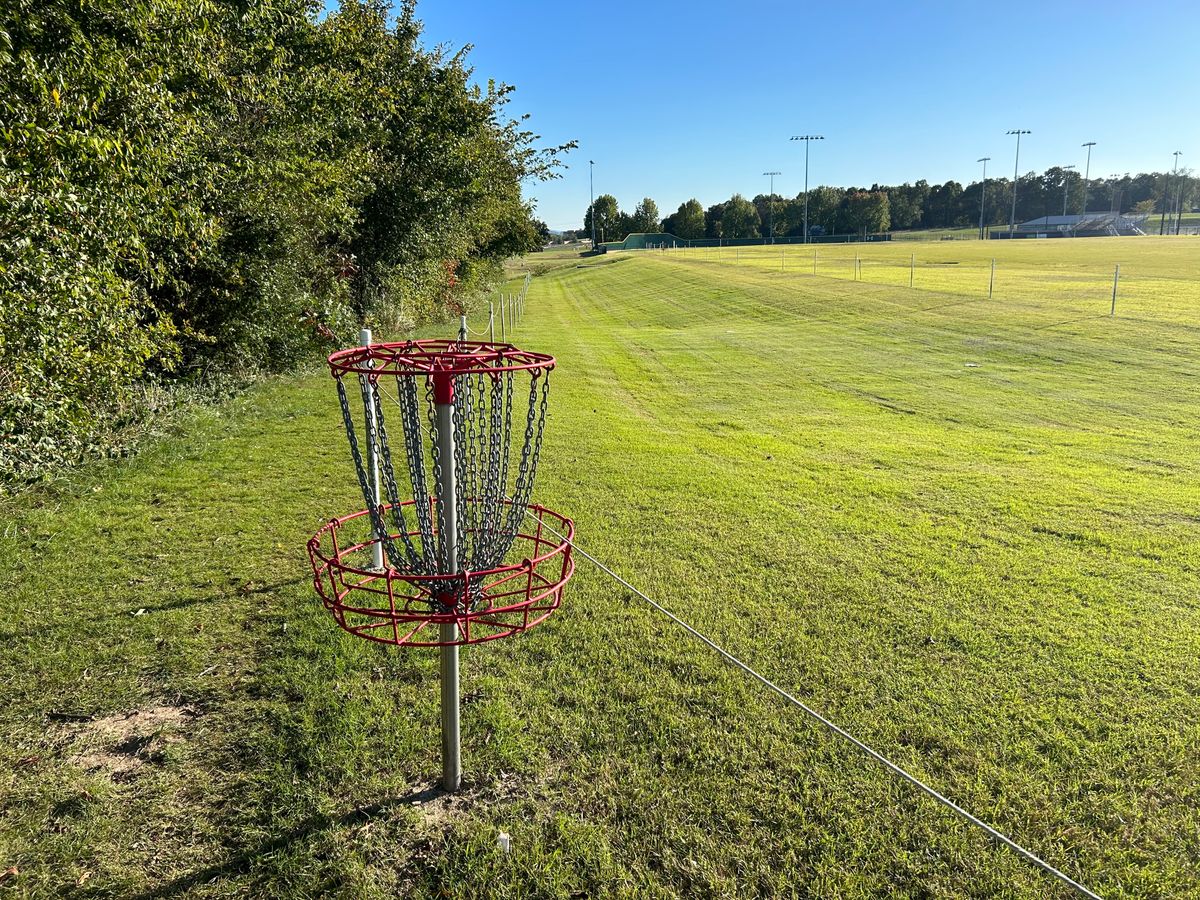 Hole #16 from behind the basket.