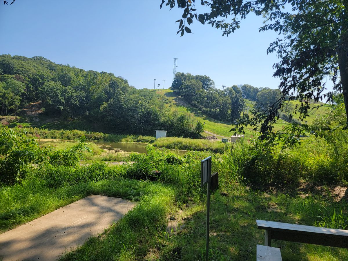 Hole nine, a drive off the tee onto the hill, then an uphill shot to the basket.