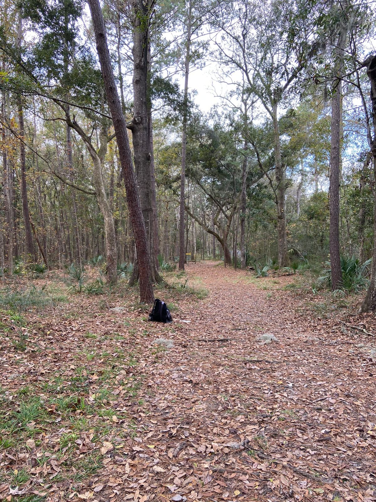 Hole 3 fairway