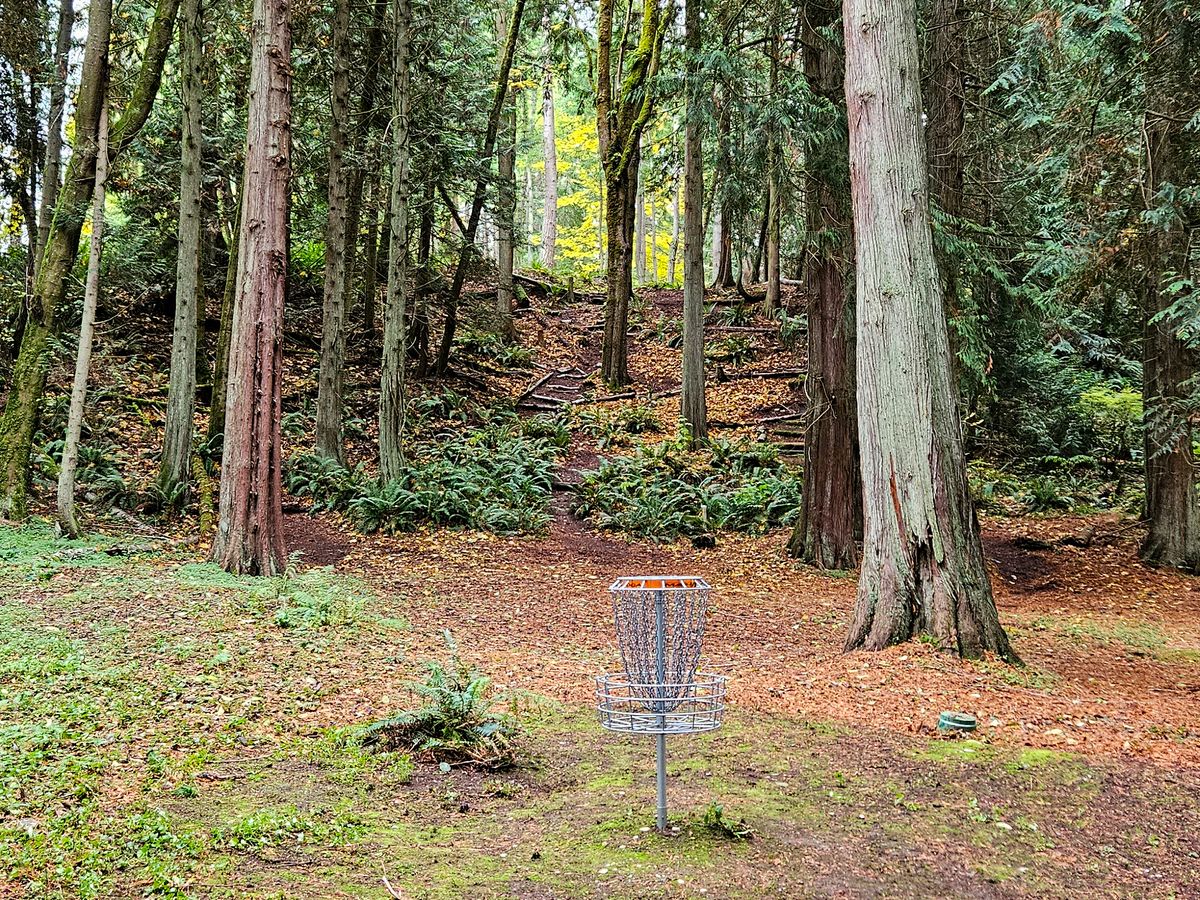 Blue 1 basket, looking back up hill towards tee