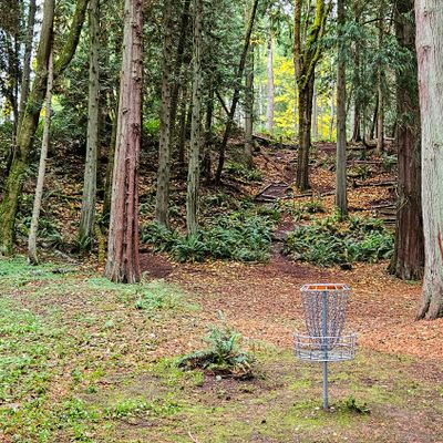 Blue 1 basket, looking back up hill towards tee