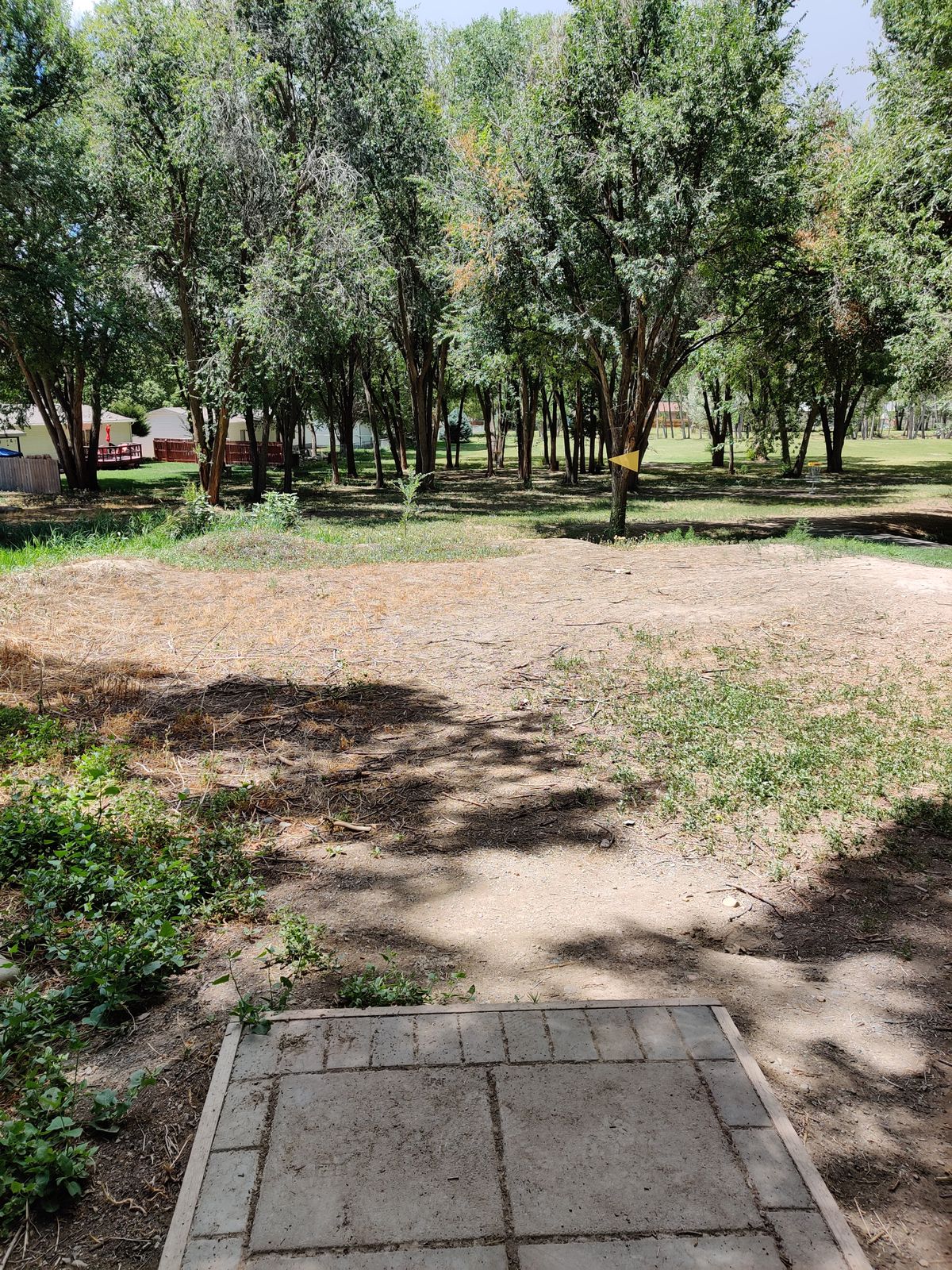 Hole 5