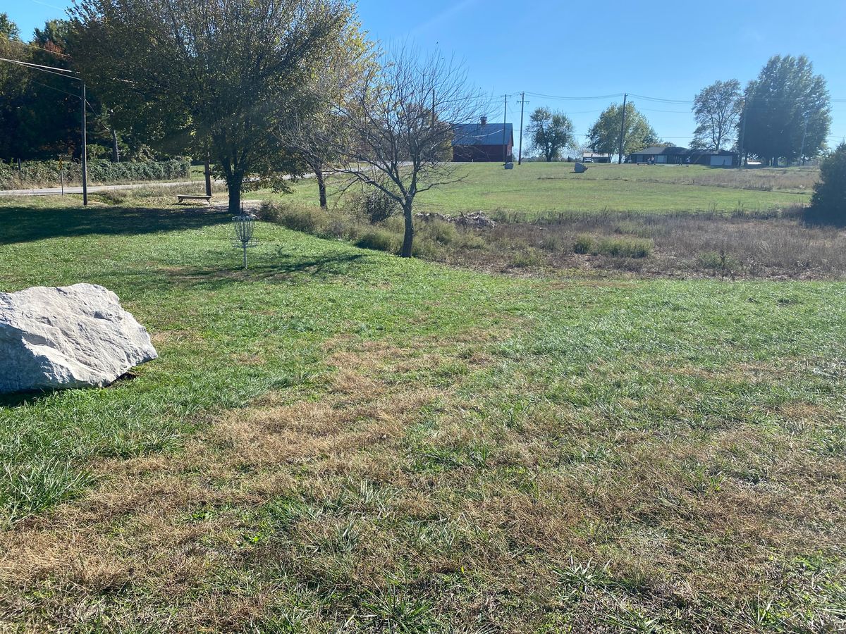 #1 basket (Main/Short)