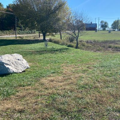 #1 basket (Main/Short)