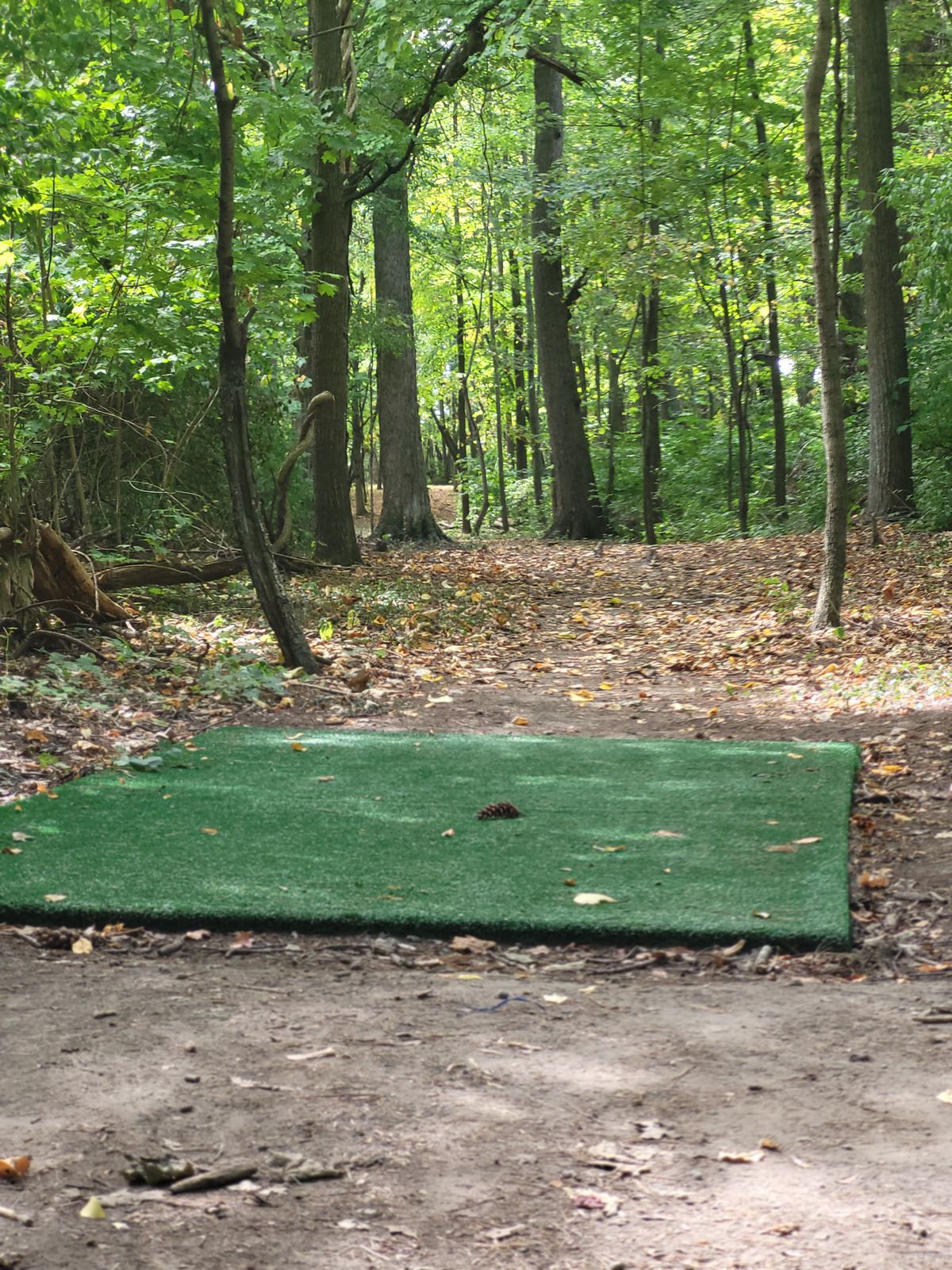 Hole 10. Beautiful wooded par 4