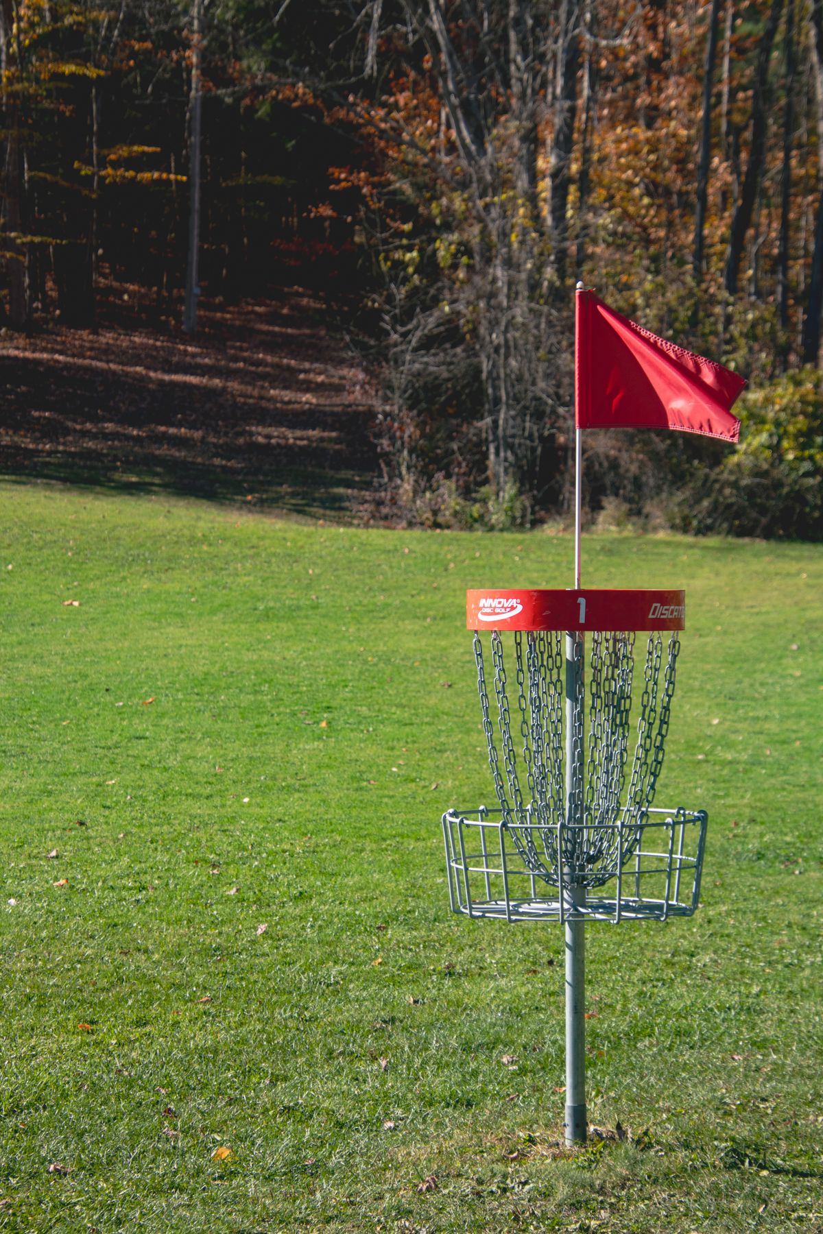 Hole 1 OG Pin looking back to fairway.