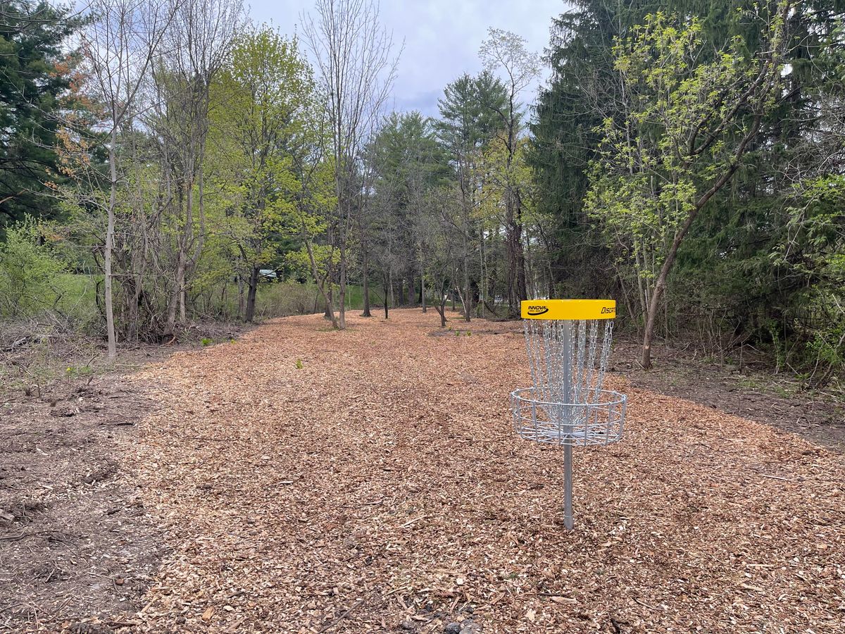 Hole 12 Basket to Tee
