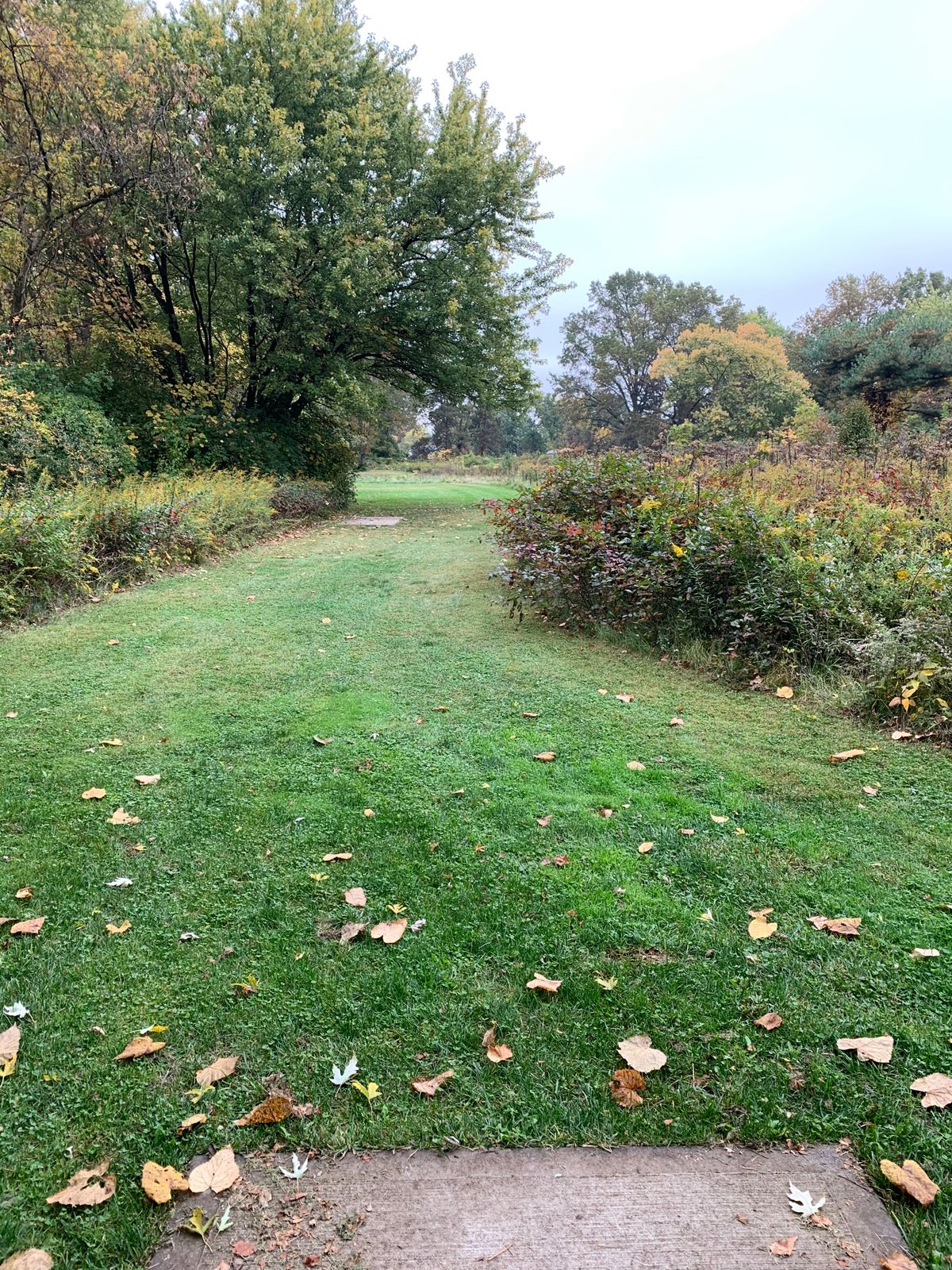 Hole 10 Blue Tee