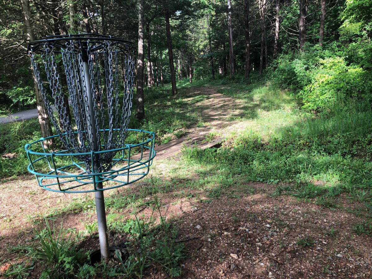 Hole 10 looking back at the tee