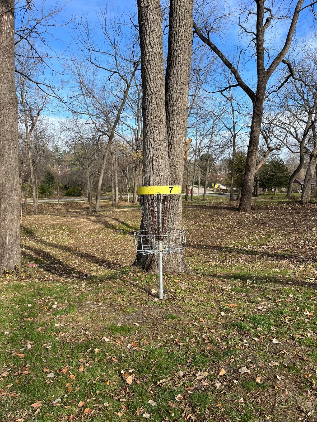 Hole 7 Basket