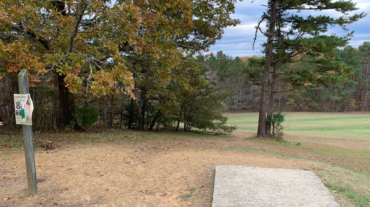 Hole 8