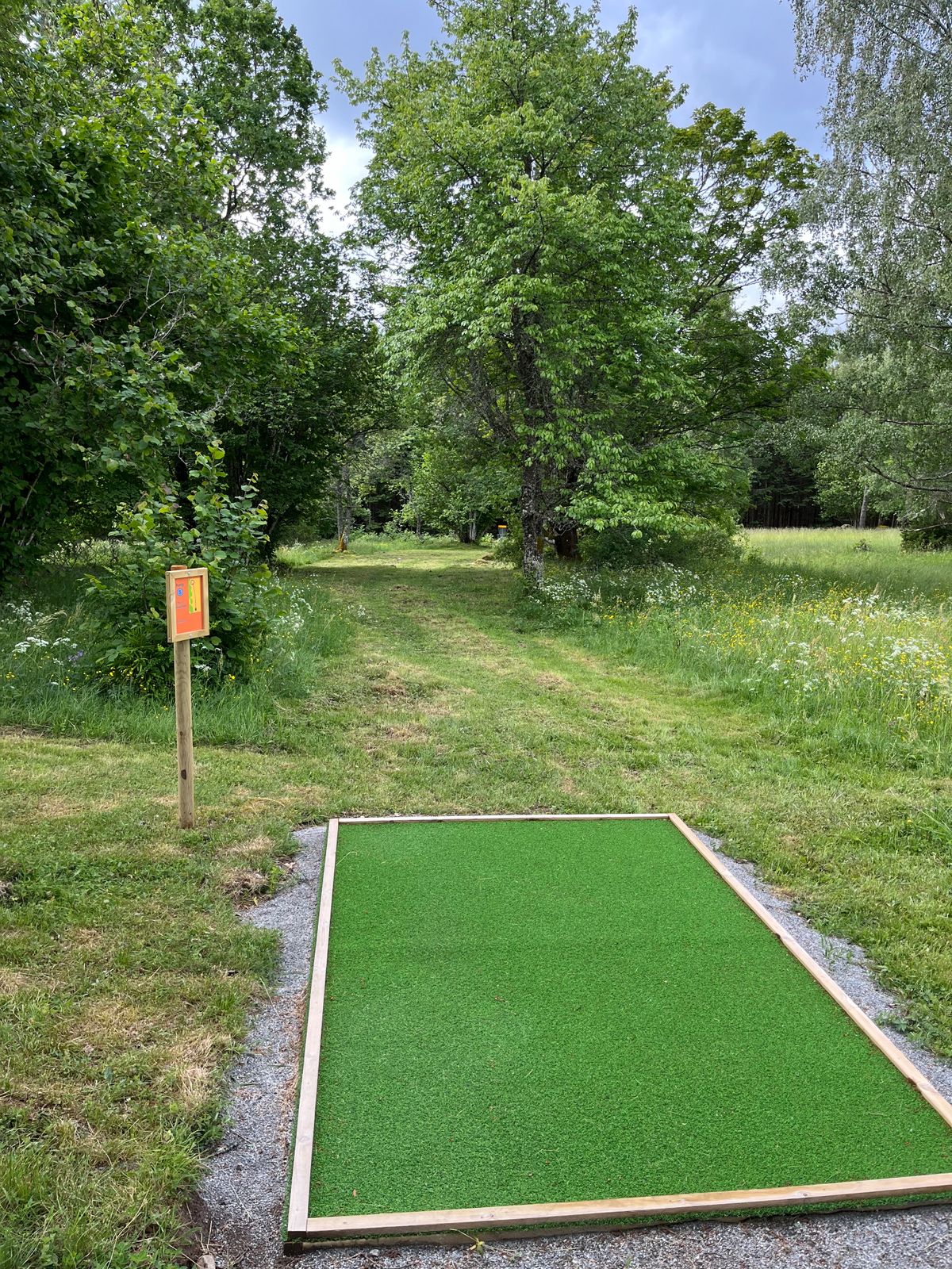 Tee 5