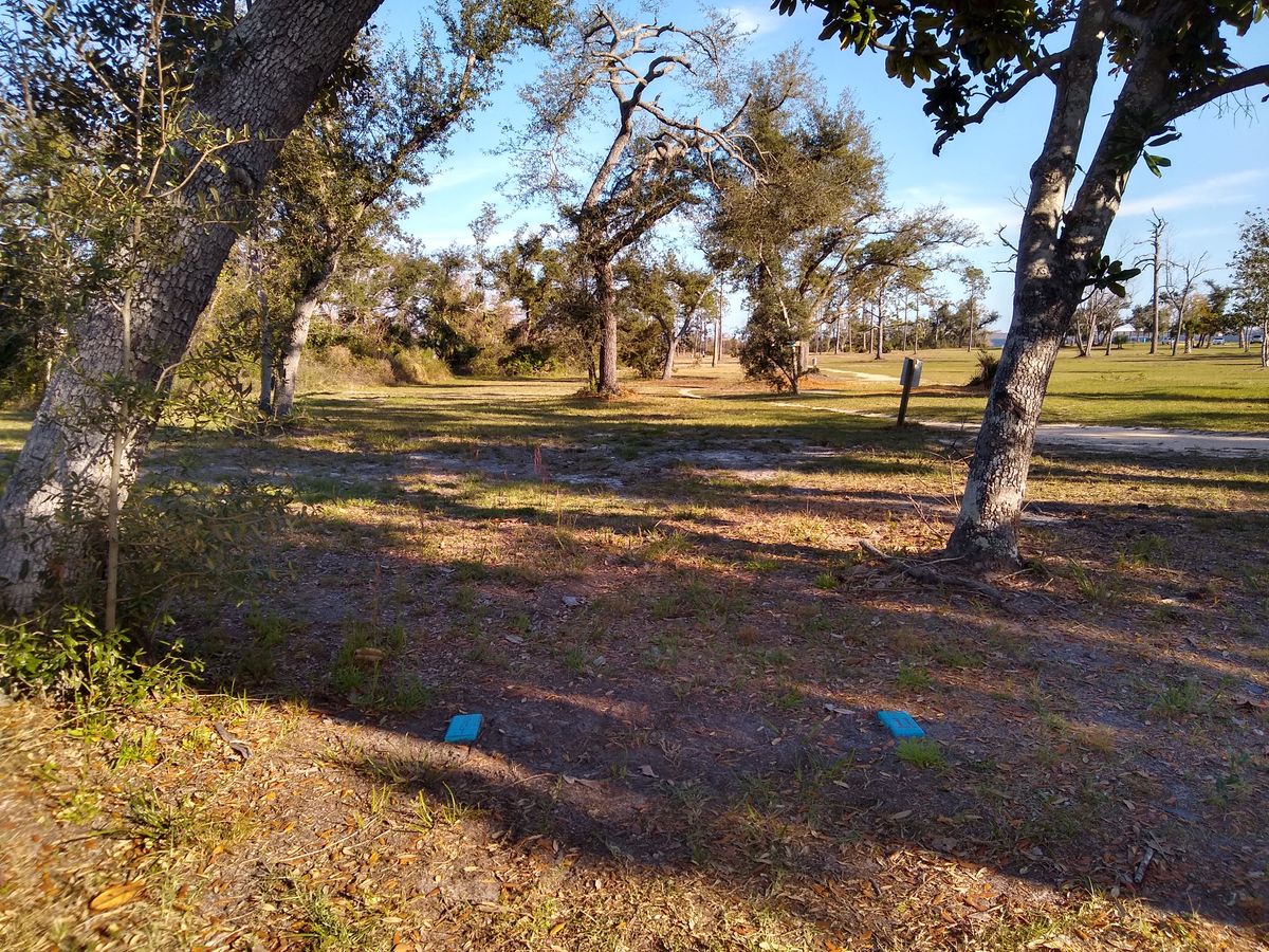 #11, par 3, 384ft (must go lt of mando tree, Drop Zone is just lt of mando tree)