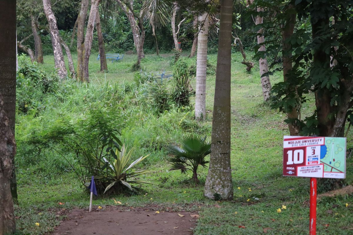 Hole 10 Long Tee