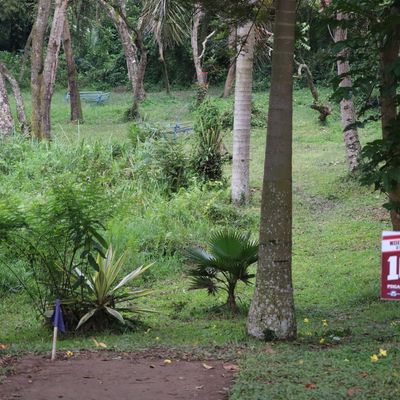 Hole 10 Long Tee