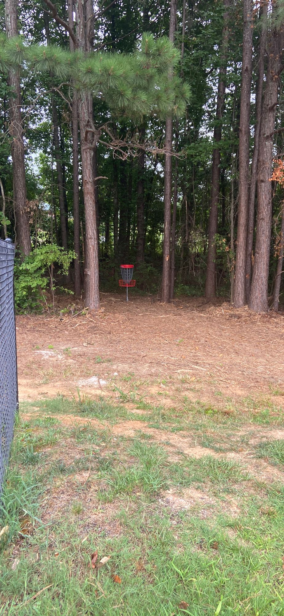 Hole 7 basket viewed from playground.  This is the Par 4 placement configuration