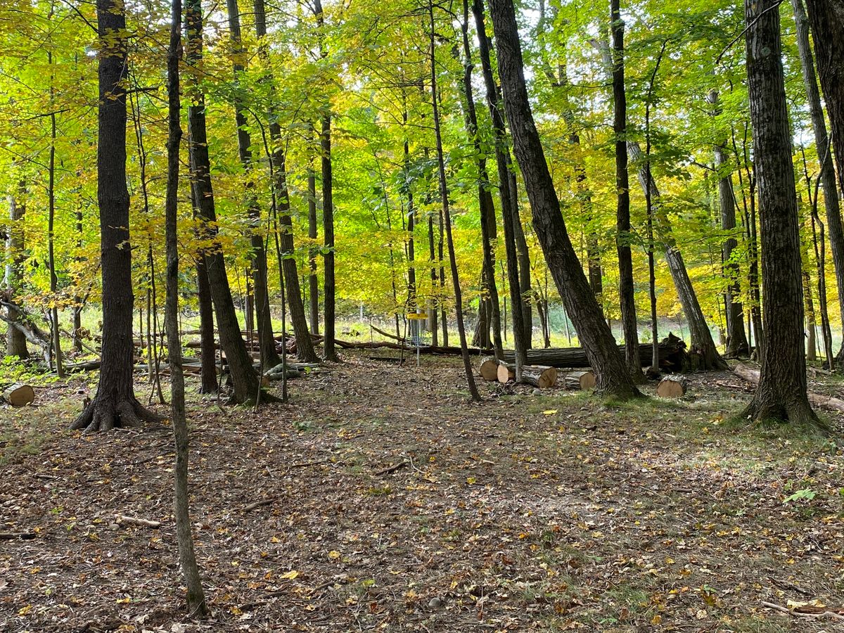 11 fairway
