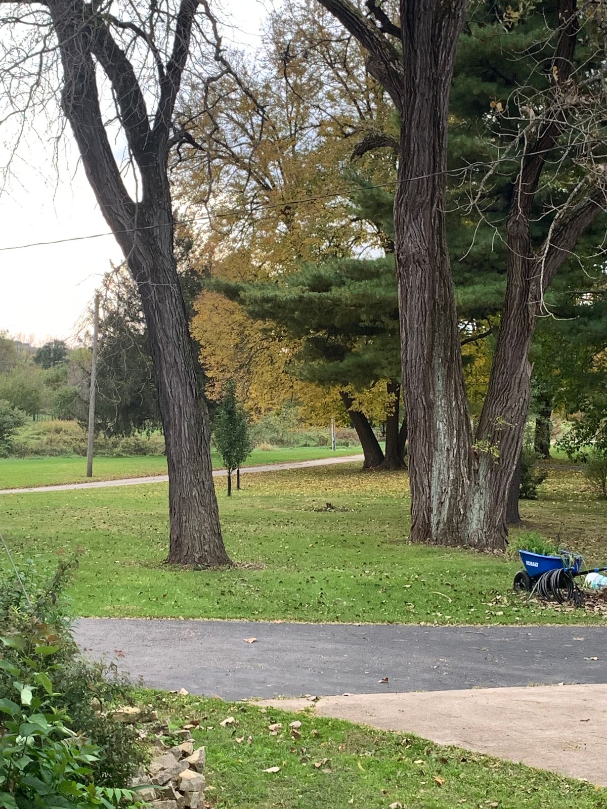Zoom in Hole 1 White Tee