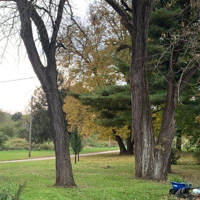 Zoom in Hole 1 White Tee