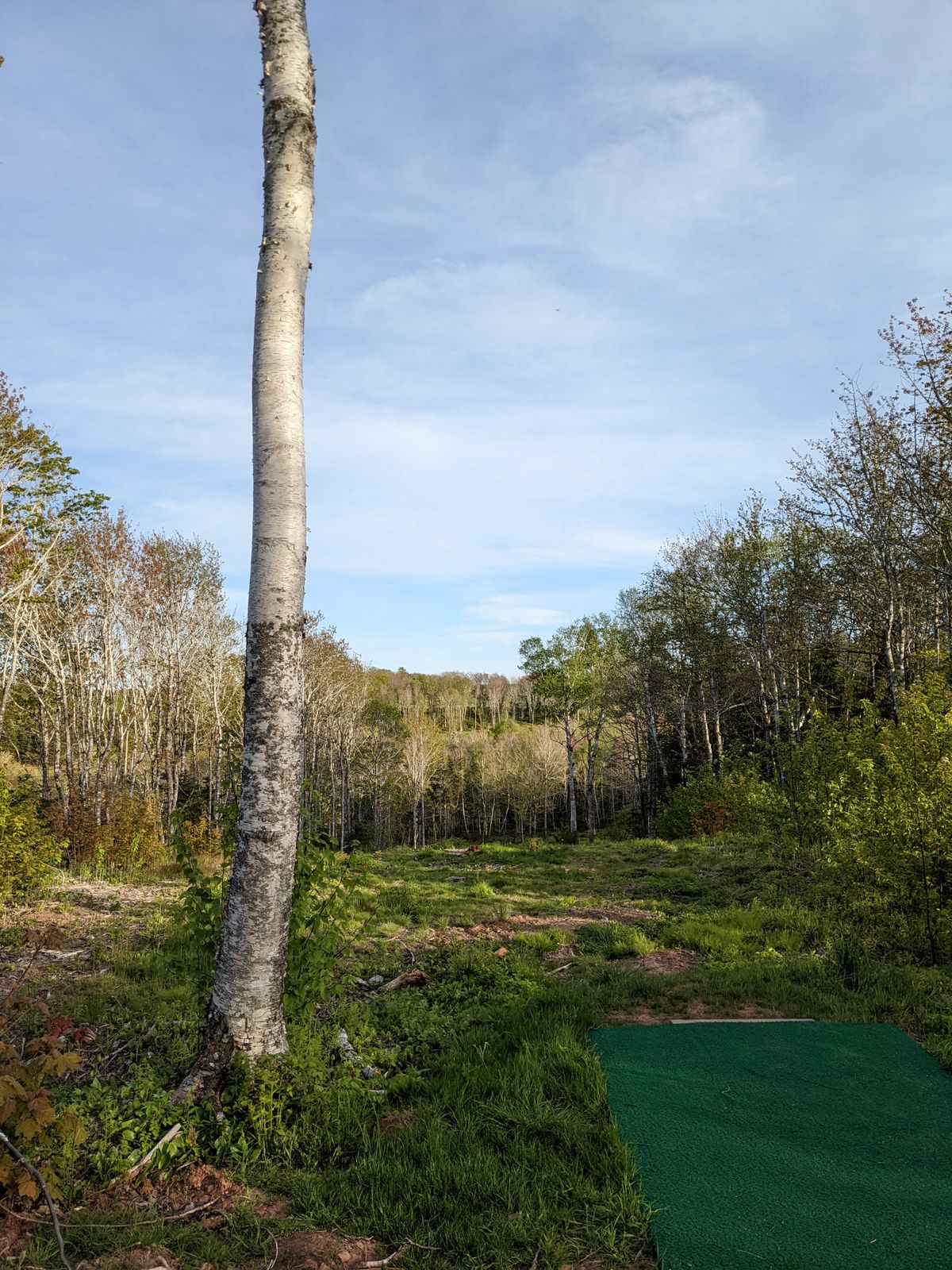 Hole 8 tee, long downhill fairway going left to right, hard to get in a picture but a signature hole