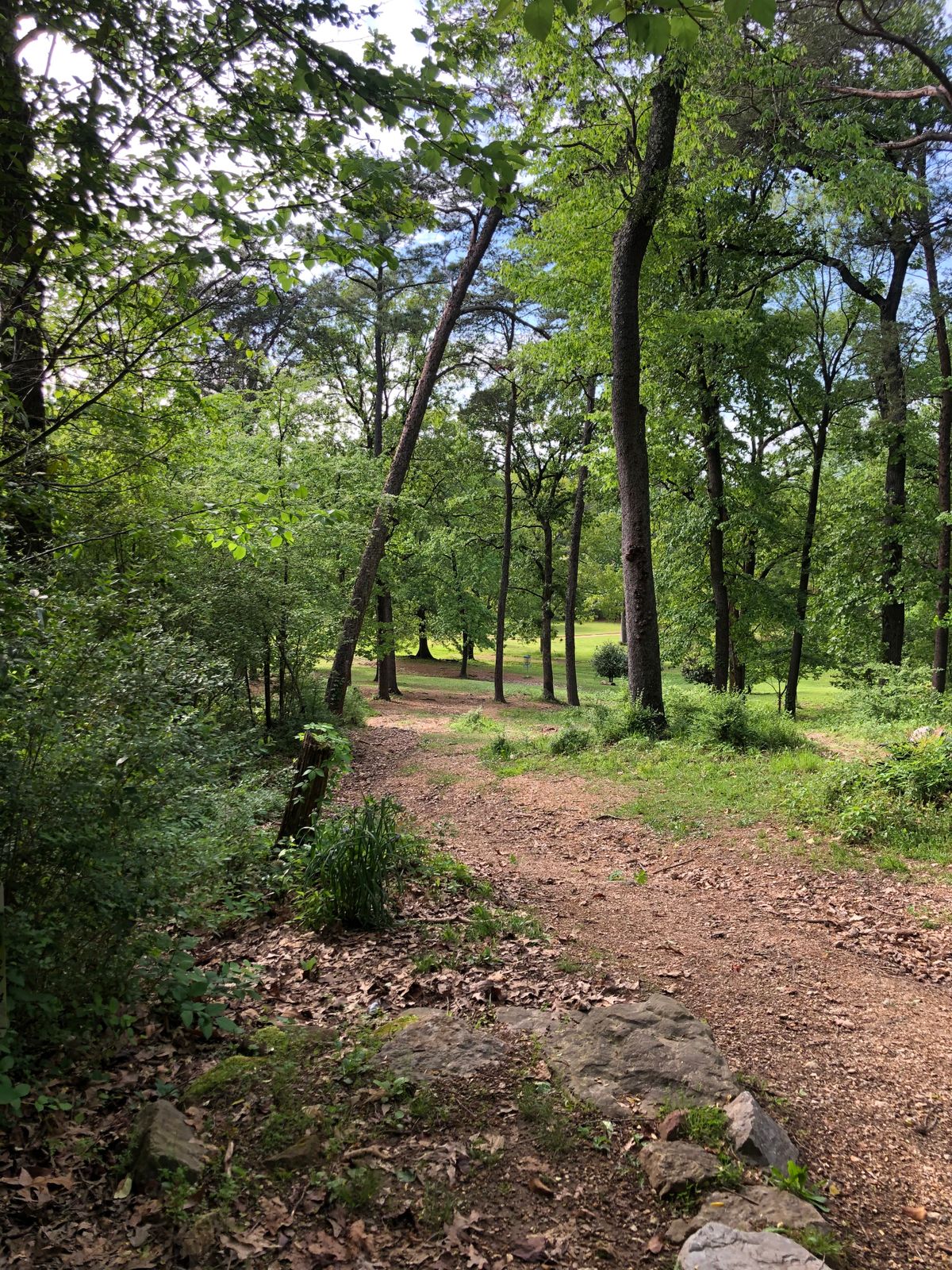 Hole 12