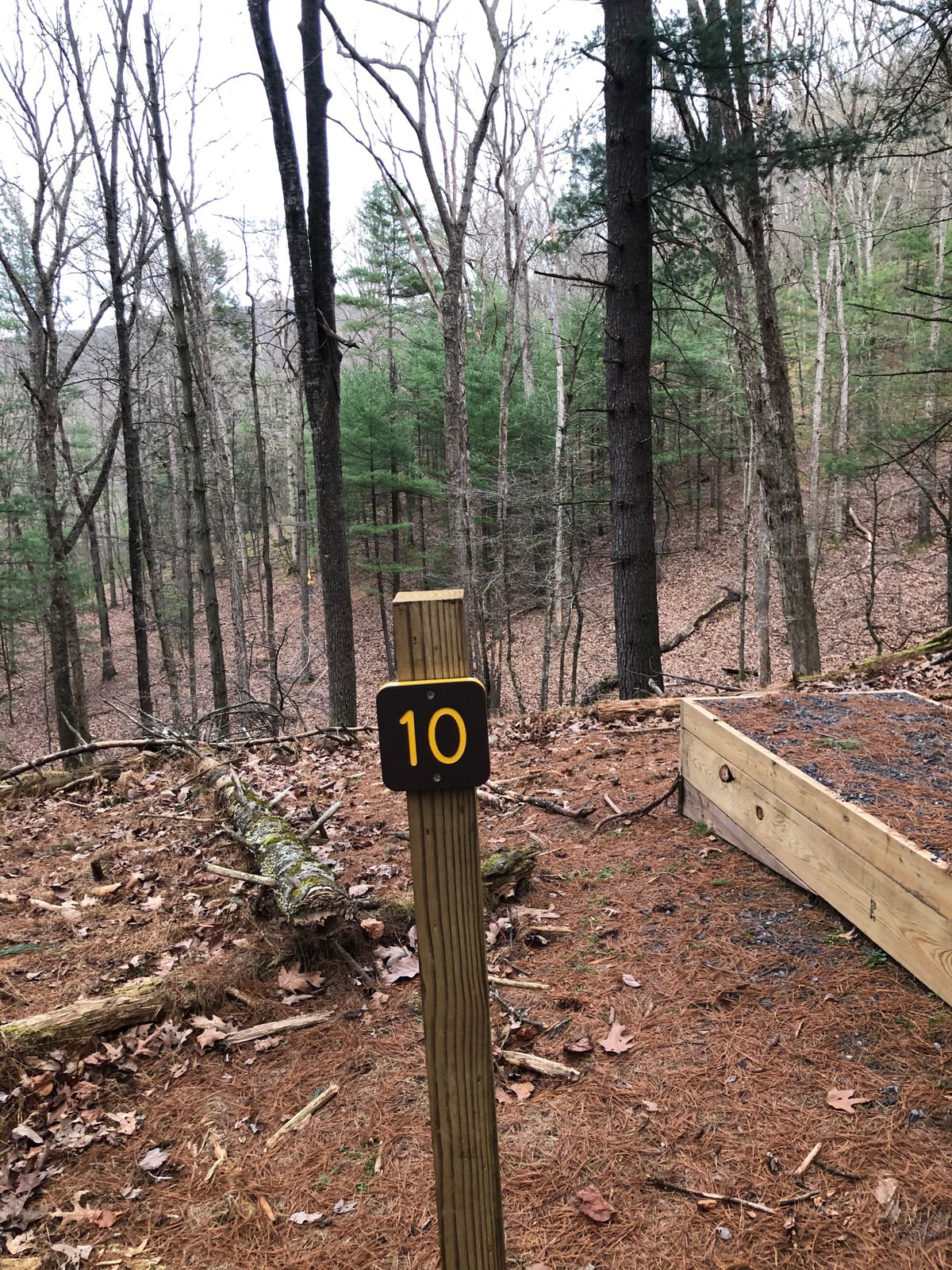 Tee Box 10 - drive is top of ridge to mid ridge