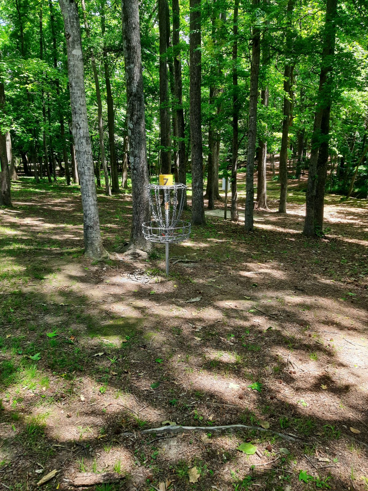 Hole 7 Basket