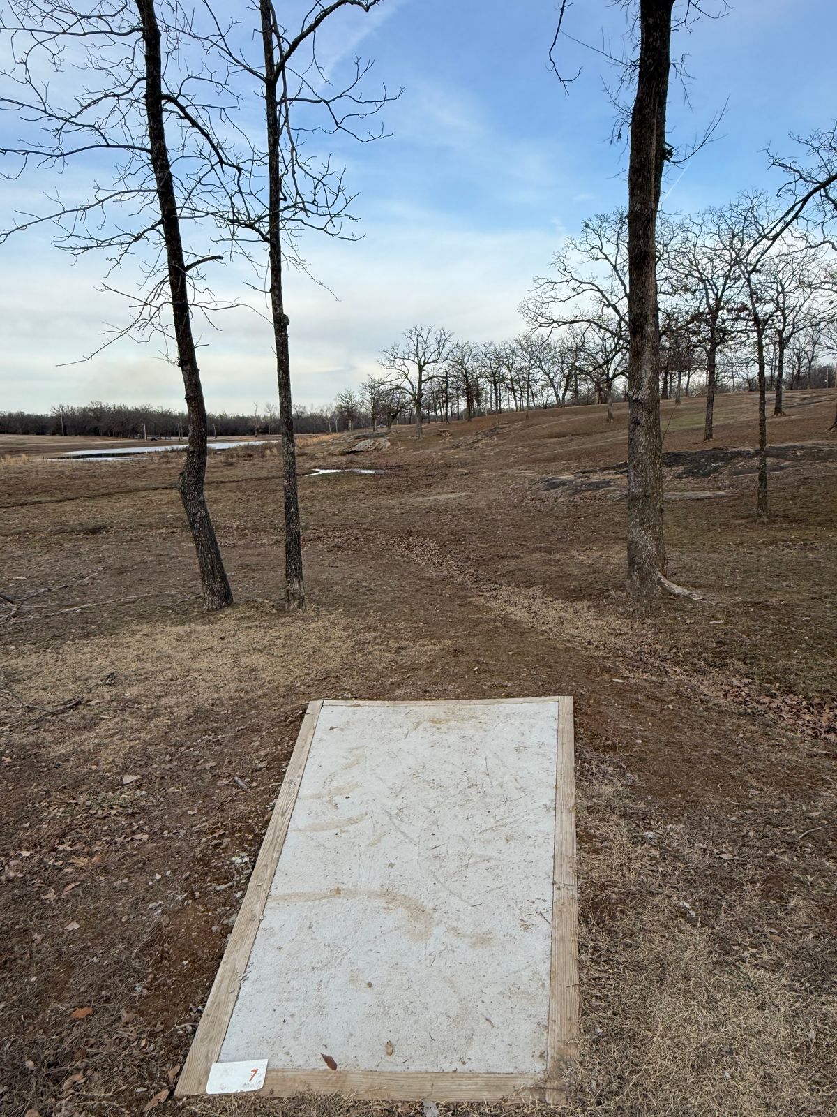 Hole 7 Tee and fairway