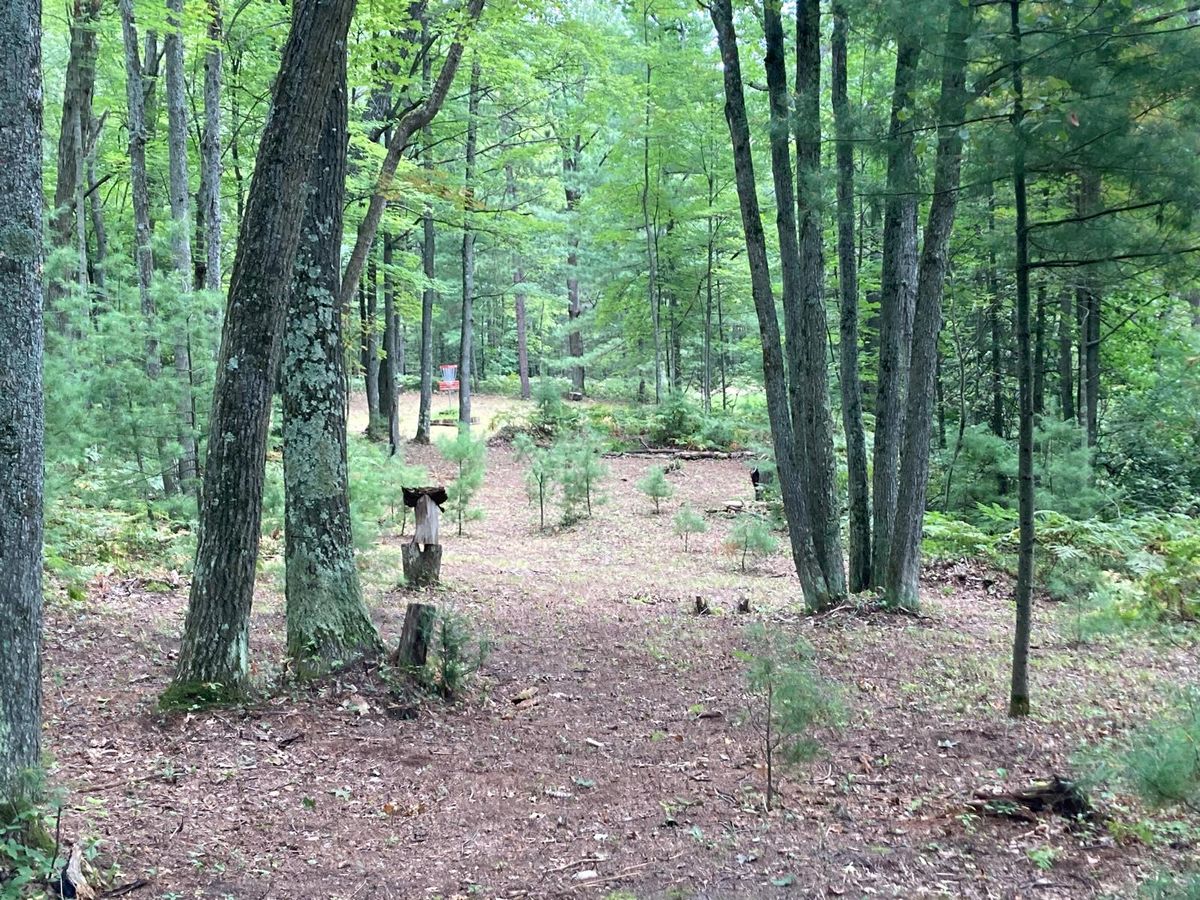 Fairway Hole #18