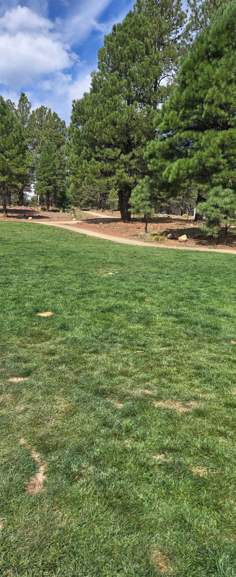 Tee 1