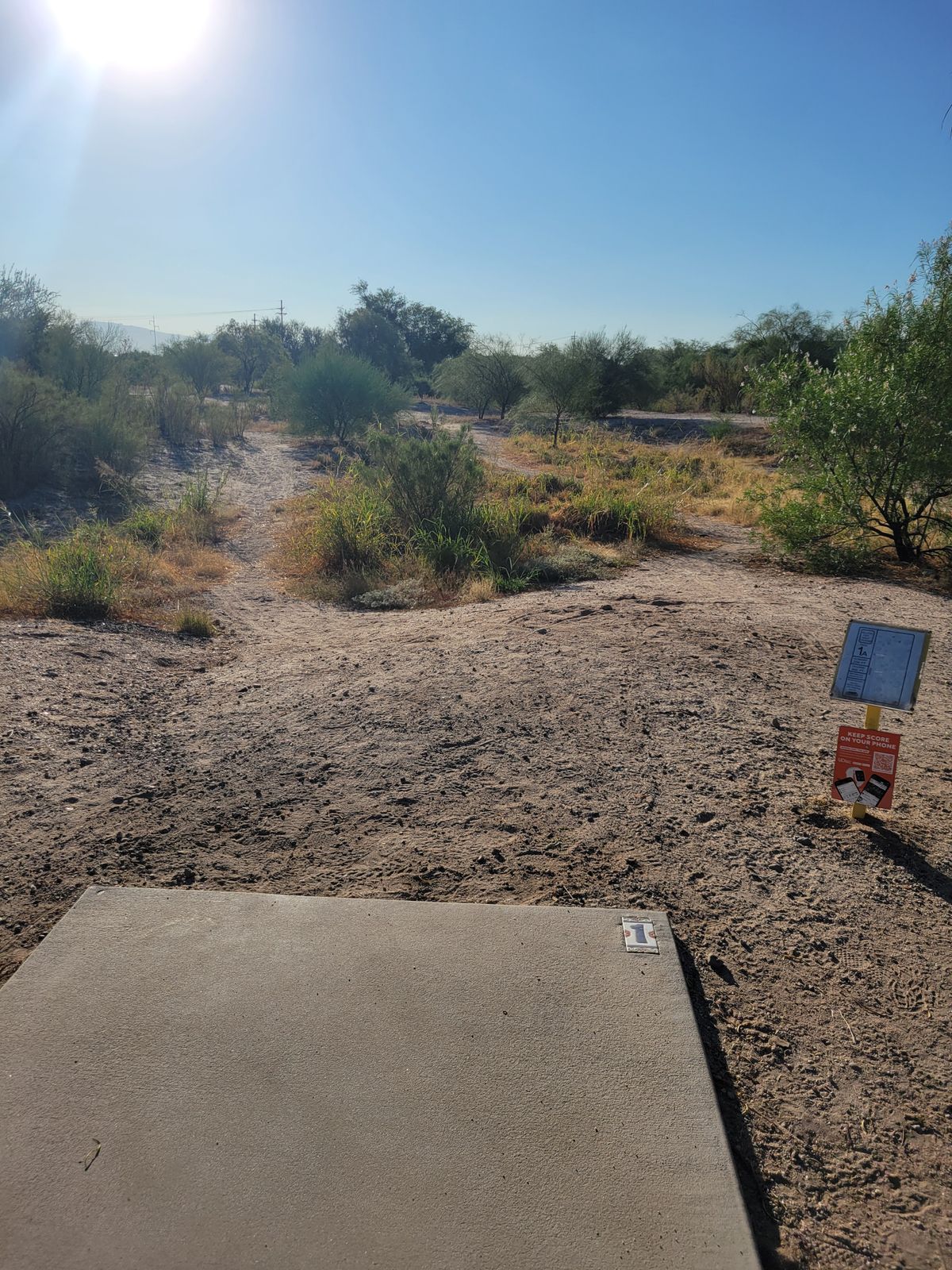 #1 into the Sun