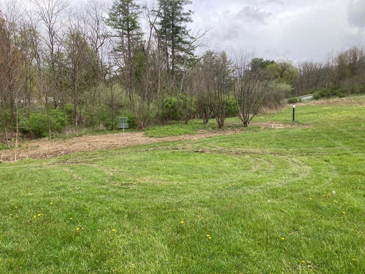 Hole #2 Basket