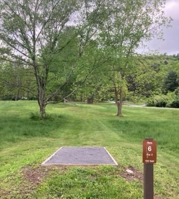 Tee 6