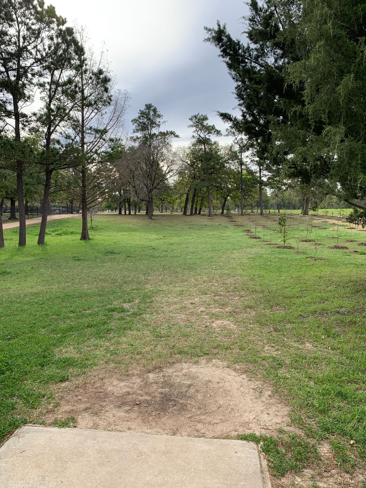 Hole 14