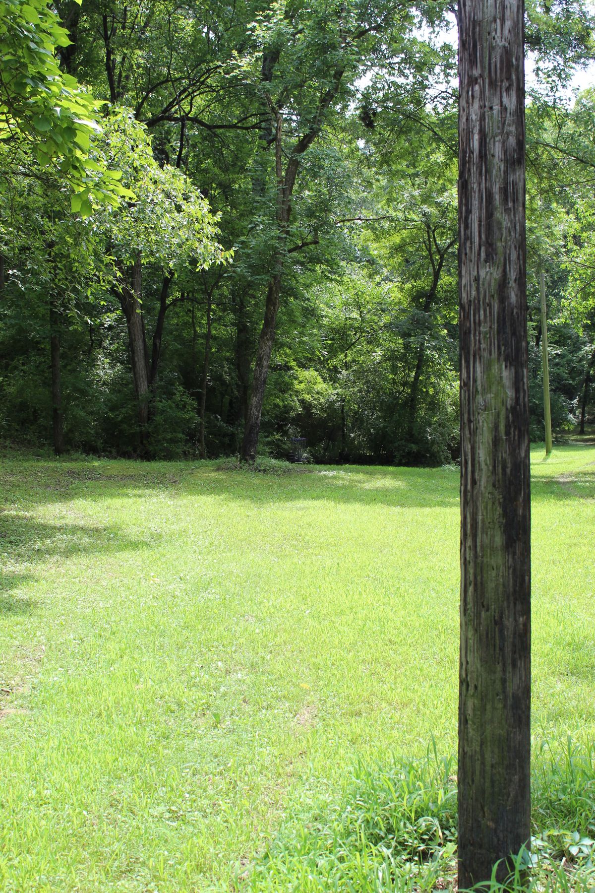 Hole 1 (Basket)