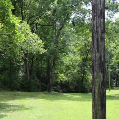 Hole 1 (Basket)